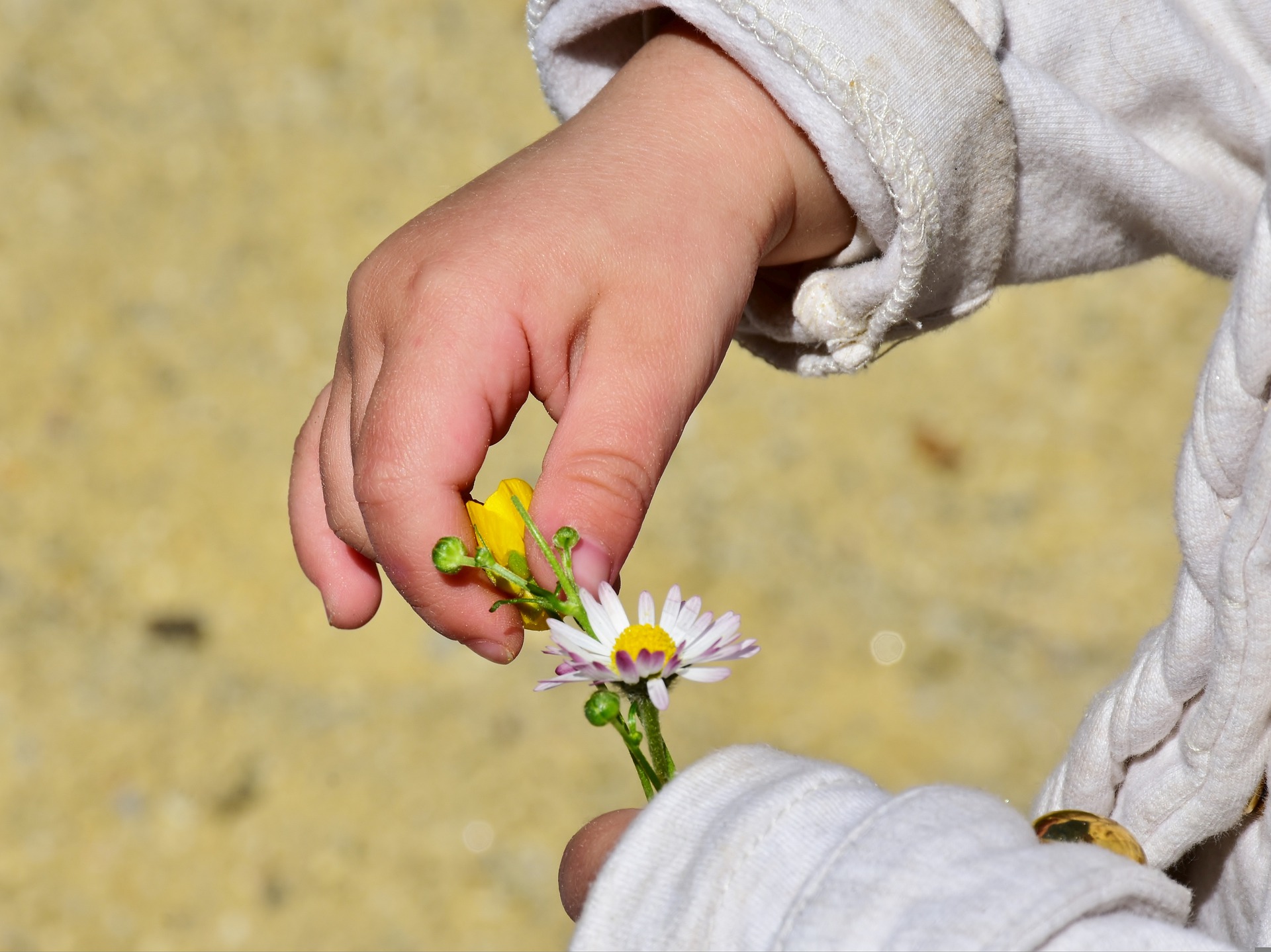 enfant découvre la nature lors d'un atelier animation nature bombom nature éveil des sens pour les écoles et les maternelle à guichen en bretagne